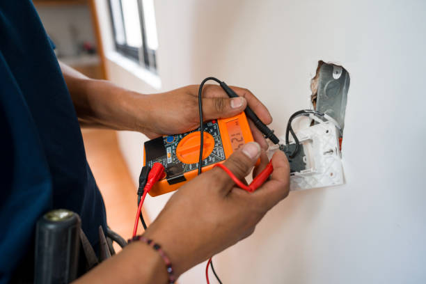 Best Local Electrician Companies  in Pine Level, AL