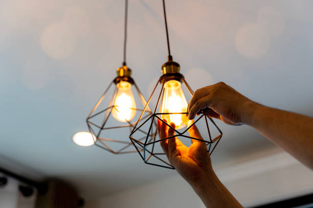 Best 24-Hour Electrician  in Pine Level, AL